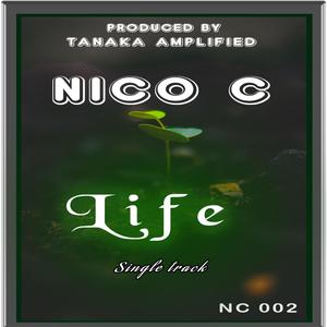 Life (Explicit)