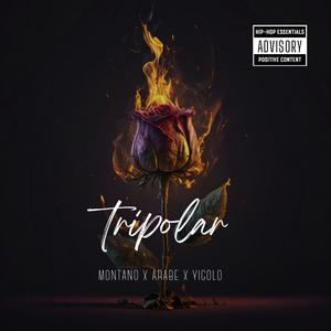 TRIPOLAR (feat. Yigolo & Arabe) (Explicit)
