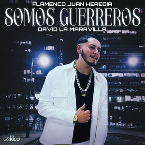 Somos Guerreros