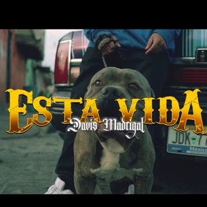 Está vida (Explicit)