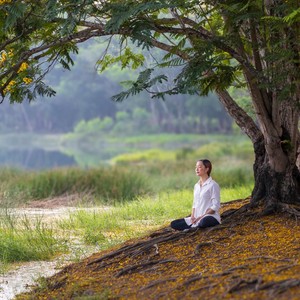 Silence Wraps The Mind's Echo