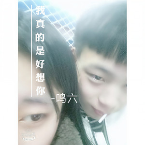 我真的是好想你