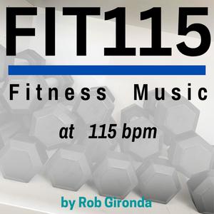 FIT115