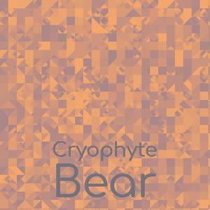 Cryophyte Bear