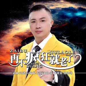 再不疯狂就老了 (DJ默涵版)封面