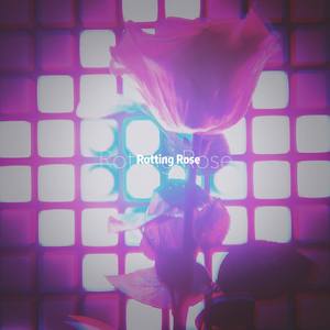 Rotting Rose