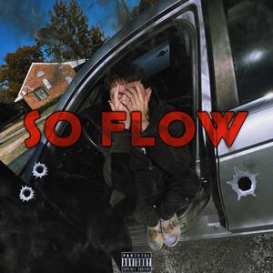 SO FLOW (Explicit)