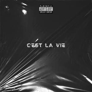 C'est La Vie (Explicit)