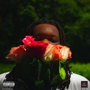 Can't Stop Loving You