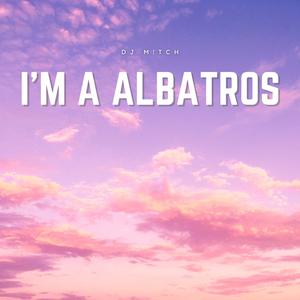 I'm A Albatros (Explicit)