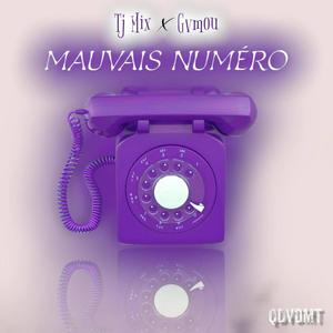 Mauvais numéro (feat. Gvmou)