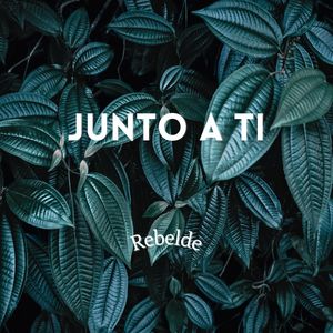 Junto a Ti