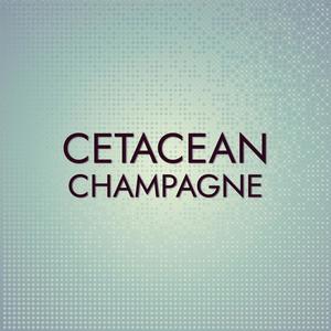 Cetacean Champagne