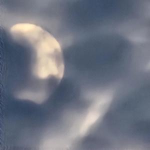 lilac breeze (Explicit)