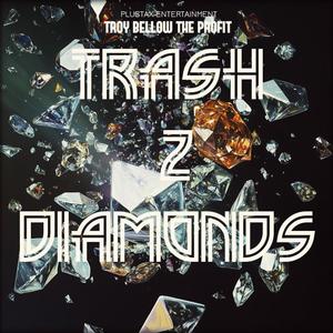 Trash 2 Diamonds (Explicit)