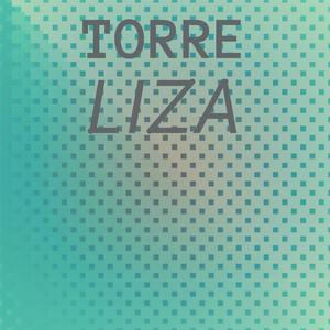 Torre Liza