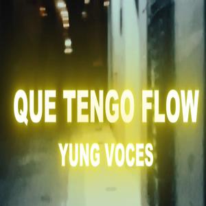 QUE TENGO FLOW (feat. 99Beatz & Pureza Beatz) [Explicit]