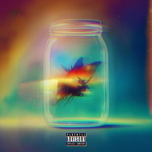 Fireflies! (feat. Sersci Music)