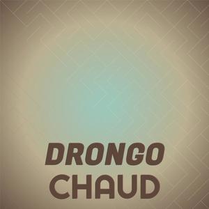 Drongo Chaud