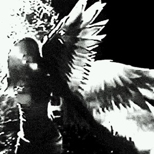 wait for you (kiss of life)