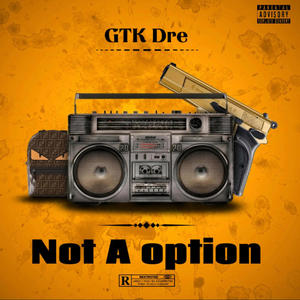 Not A Option (Explicit)