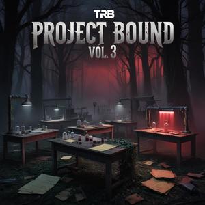 Project Bound, Vol. 3 (Explicit)