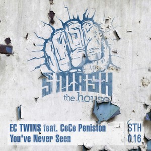You've Never Seen (Original Mix)