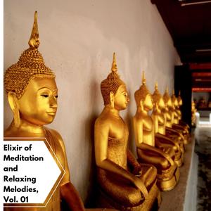 Elixir Of Meditation And Relaxing Melodies, Vol. 01