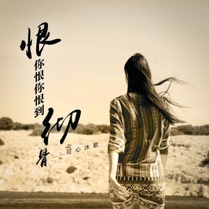 恨你恨你恨到彻骨 (DJ月之歌版)
