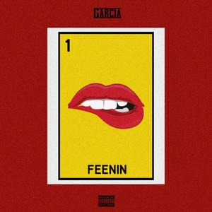 FEENIN (Explicit)
