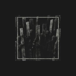 Kitty Sorry (Explicit)