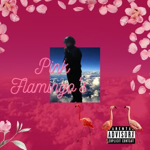 Pink Flamingo's (Explicit)