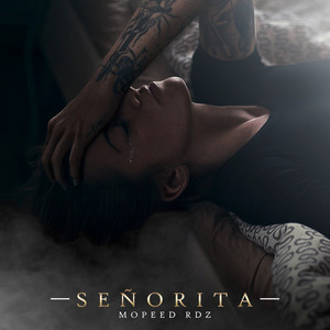 Señorita (Explicit)
