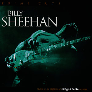 Bass Solo (Buffalo 1994)