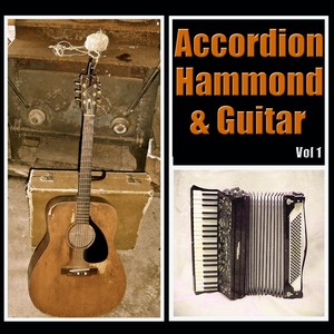 Accordion, Hammond & Guitar, Vol. 1