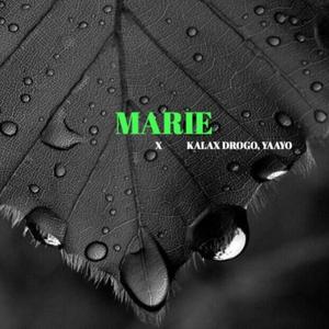 Marie (feat. Kalax Drogo & YaayoLapuros) [Explicit]