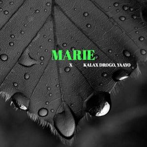Marie (feat. Kalax Drogo & YaayoLapuros|Explicit)