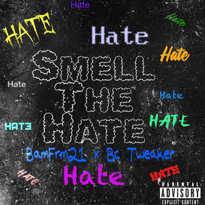 Smell the hate (feat. Bc Tweaker) [Explicit]