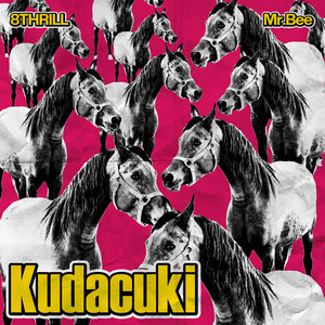 Kudacuki