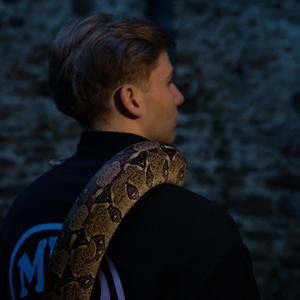 sorry 4 the mess (Explicit)