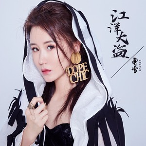 江洋大盗 (DJ名龙版|加速版)