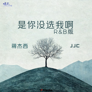是你没选我啊 (R&B版)