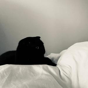 One.