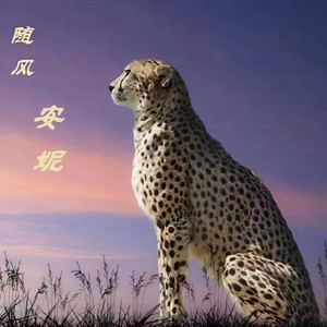 安妮