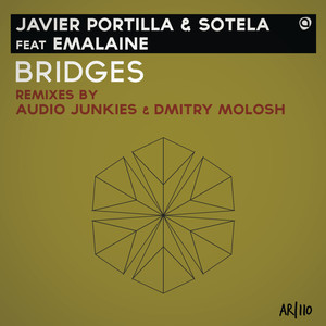 Bridges (Audio Junkies Remix)