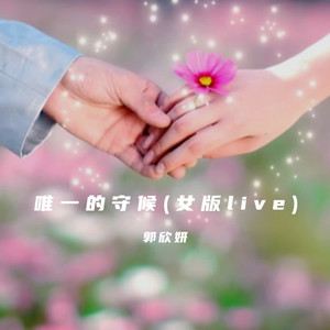 唯一的守候 (女版live)