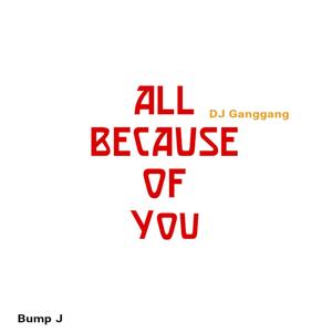 All Because of You (feat. Bump J)