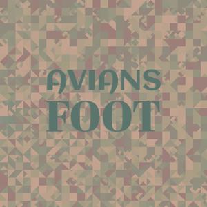 Avians Foot