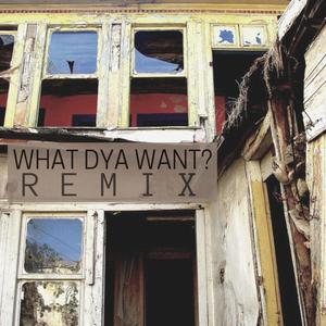 WHAT DYA WANT? (feat. Mickey Locks, Prefects, Jamie Broad & Tony Broke) [HOLLOWBOYDROWZY REMIX] [Explicit]