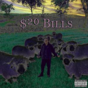 $20 Bills (Explicit)